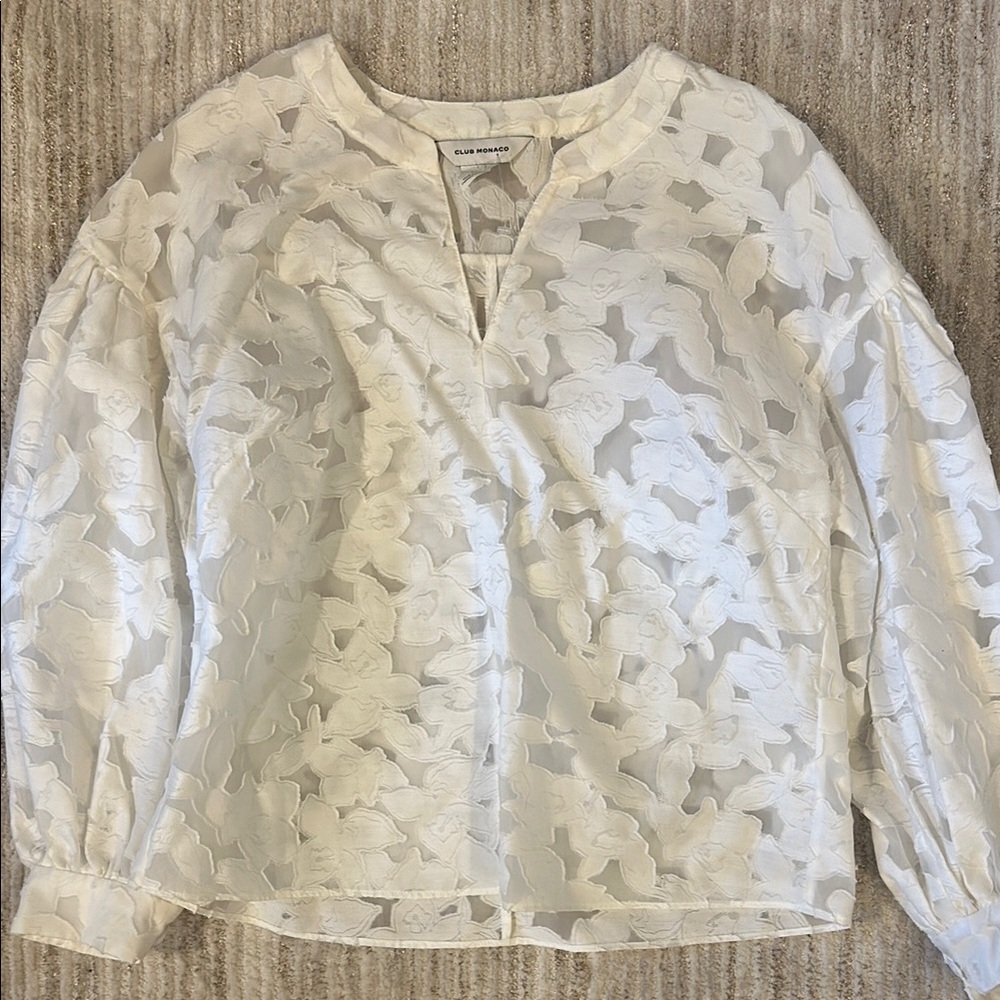 Club Monaco Sheer Blouse in White